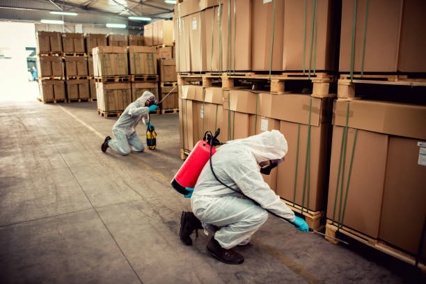 Best Local Pest Control Services  in La Croft, OH