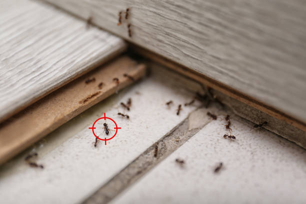 Best Pest Prevention Services  in La Croft, OH