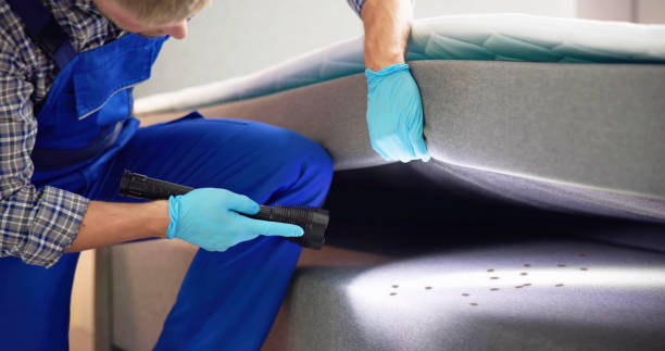 Best Local Pest Control Services  in La Croft, OH