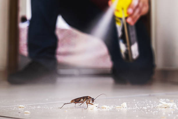 Professional Pest Control in La Croft, OH