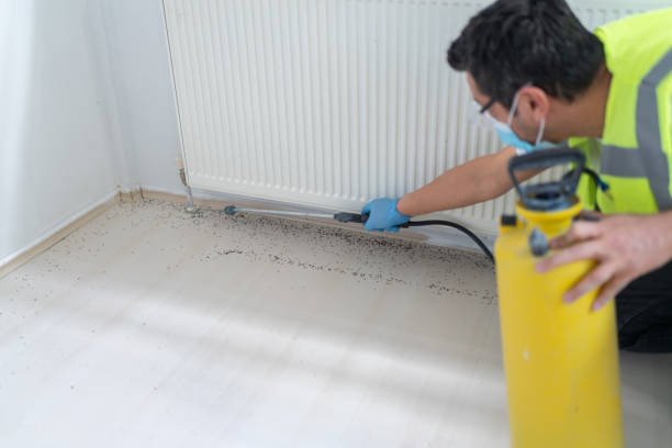 Best Exterminator Services  in La Croft, OH